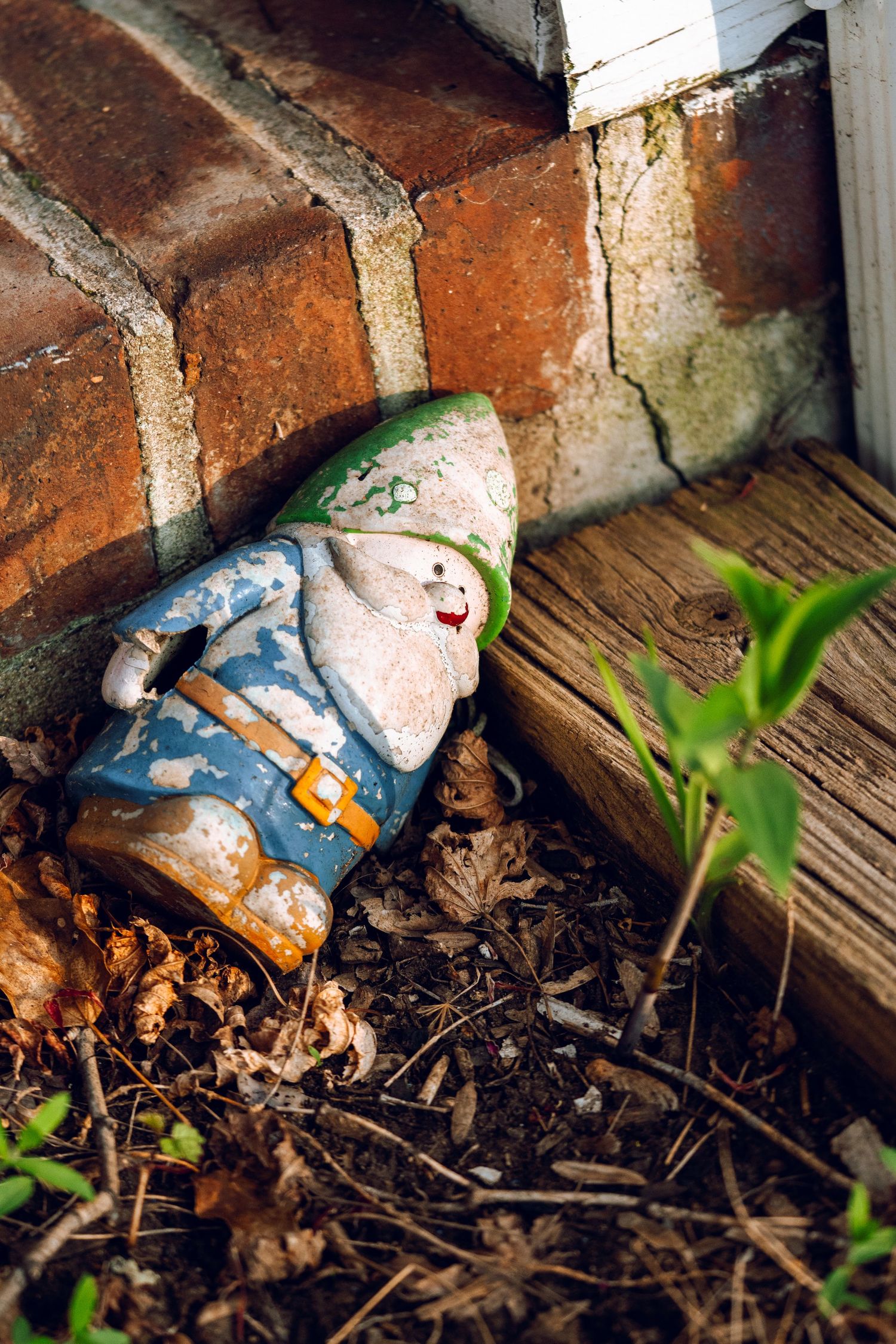 Weathered garden gnome figurine lying on its side against a brick wall surrounded by dead leaves.