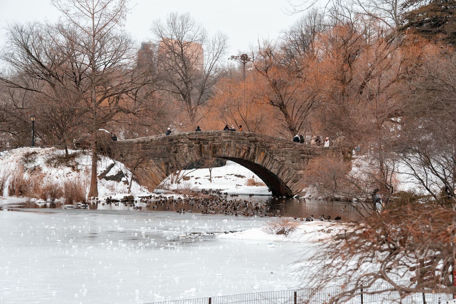 Snow-covered Central Park with stone arch bridge over frozen lake and bare trees in winter.