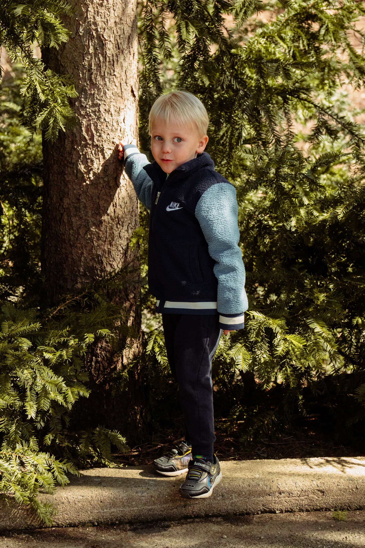 Blonde toddler boy in Nike jacket standing by a pine tree on a sunny day.