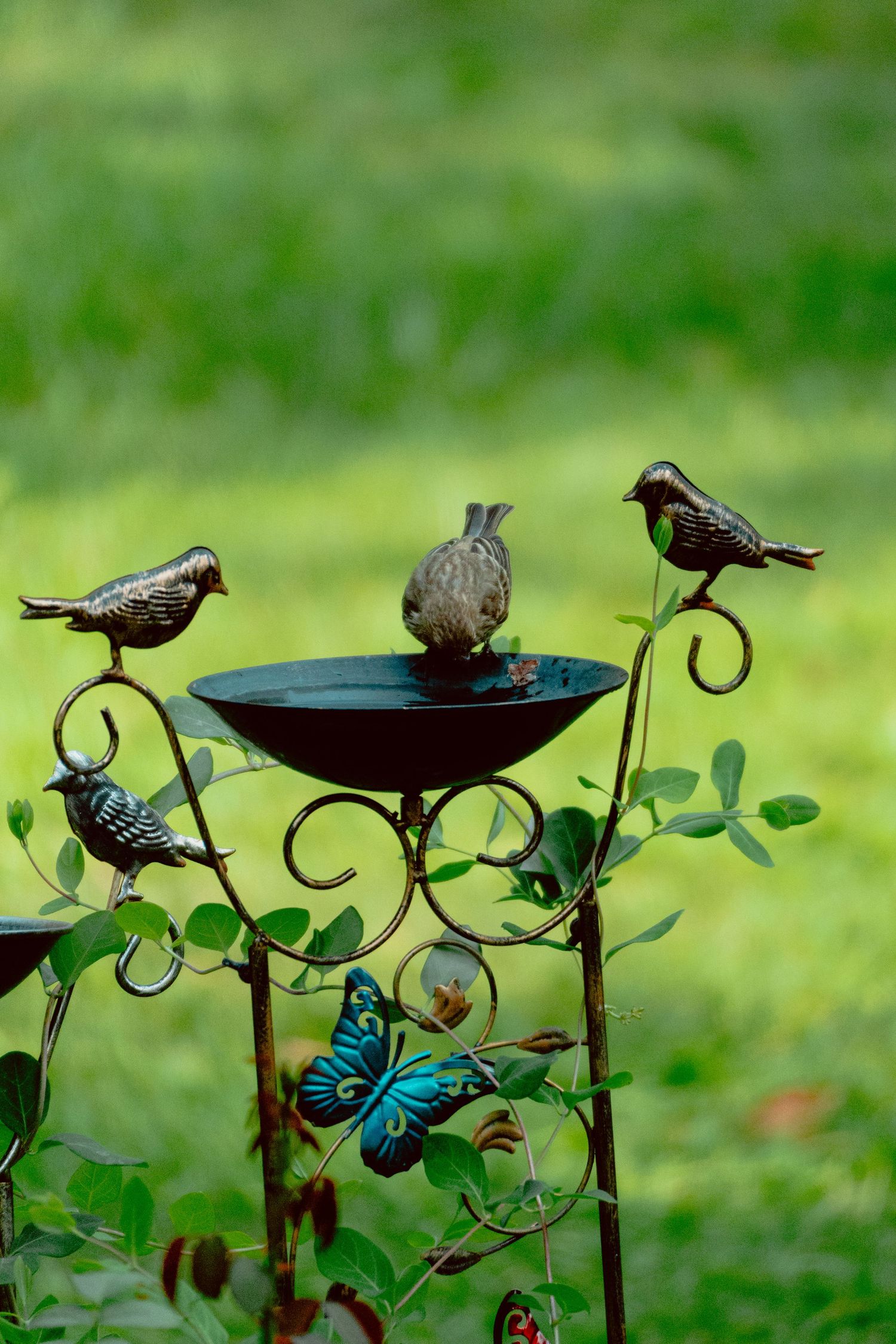 A real bird stands in a decorative metal bird bath surrounded by ornamental bird figurines and a butterfly garden stake.