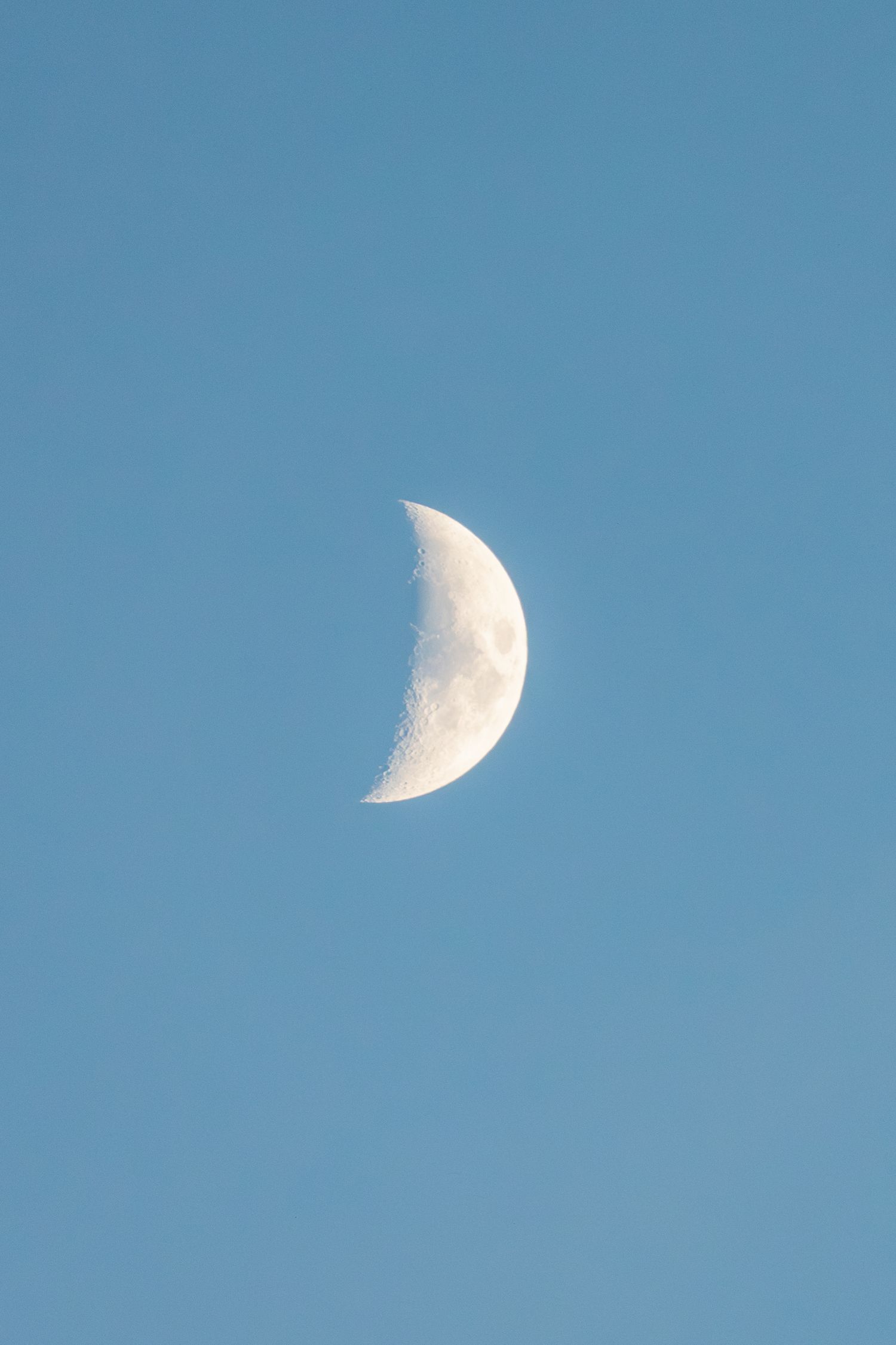 A crisp half moon against a clear blue sky in daylight.