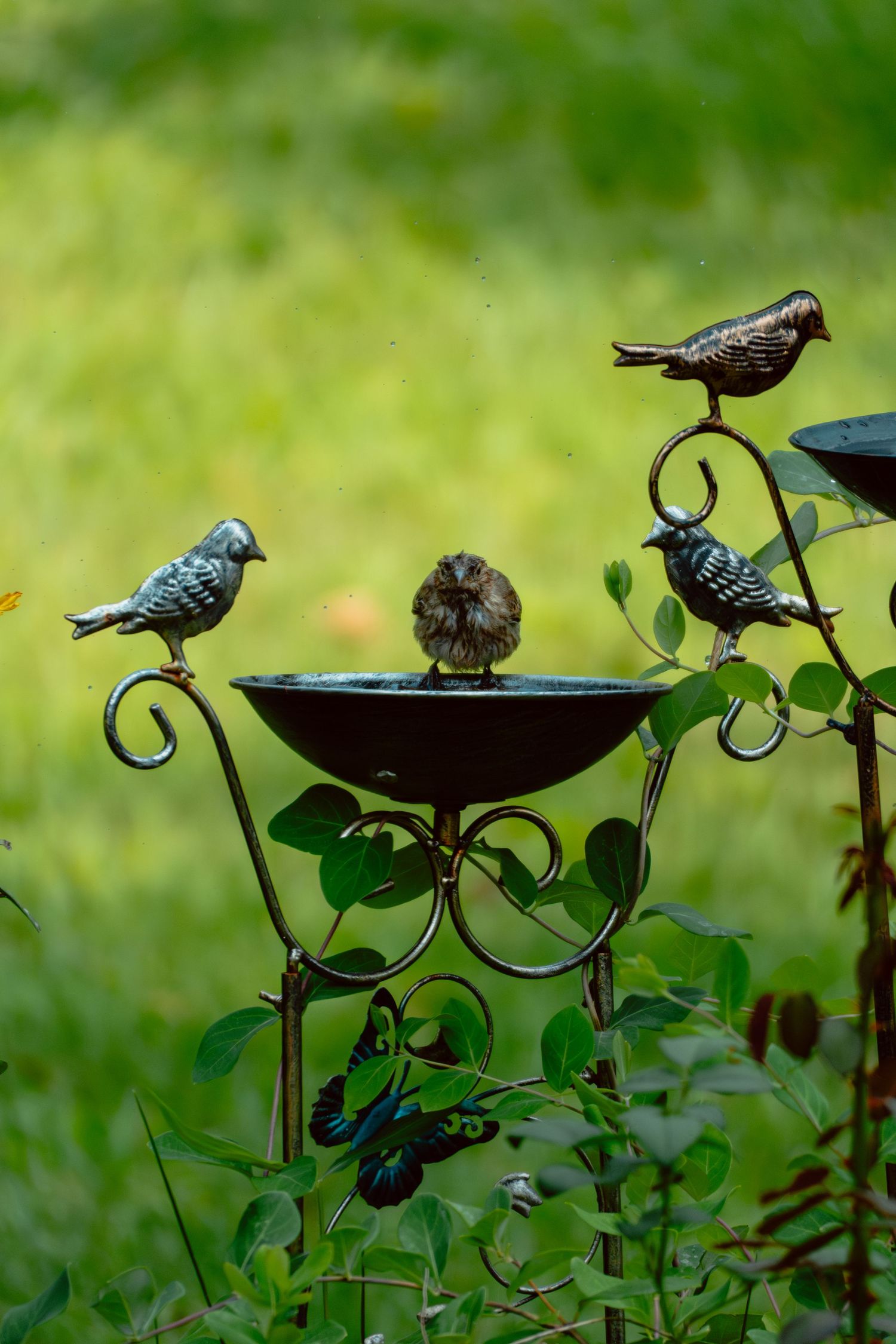 A real sparrow perches in a decorative metal garden bird bath surrounded by ornamental bird sculptures and green foliage.