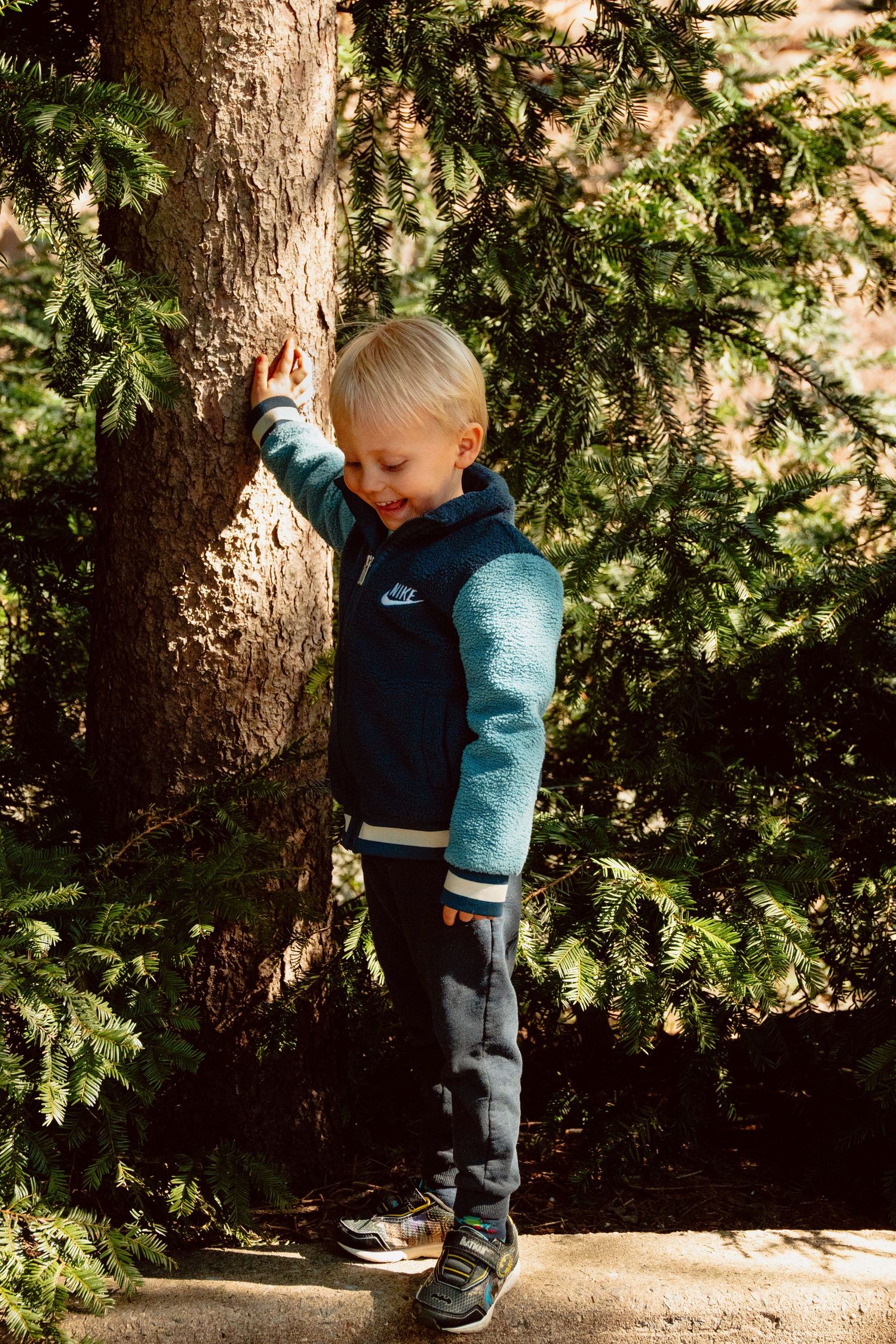 Young blonde boy in a Nike hoodie leaning against a tree trunk surrounded by pine branches.