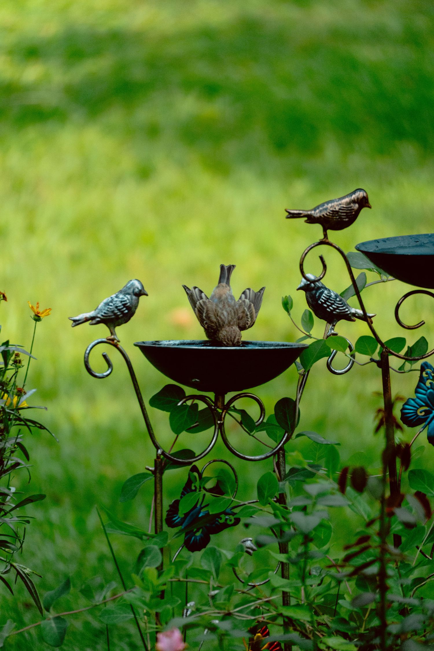 A live bird stands with wings raised in a decorative garden bird bath surrounded by metal bird figurines outdoors.