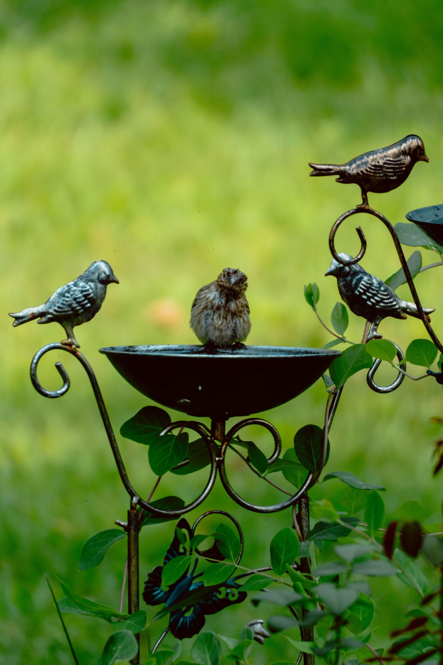 A live bird sits in a decorative metal bird bath with ornamental bird figurines against a lush green garden backdrop.