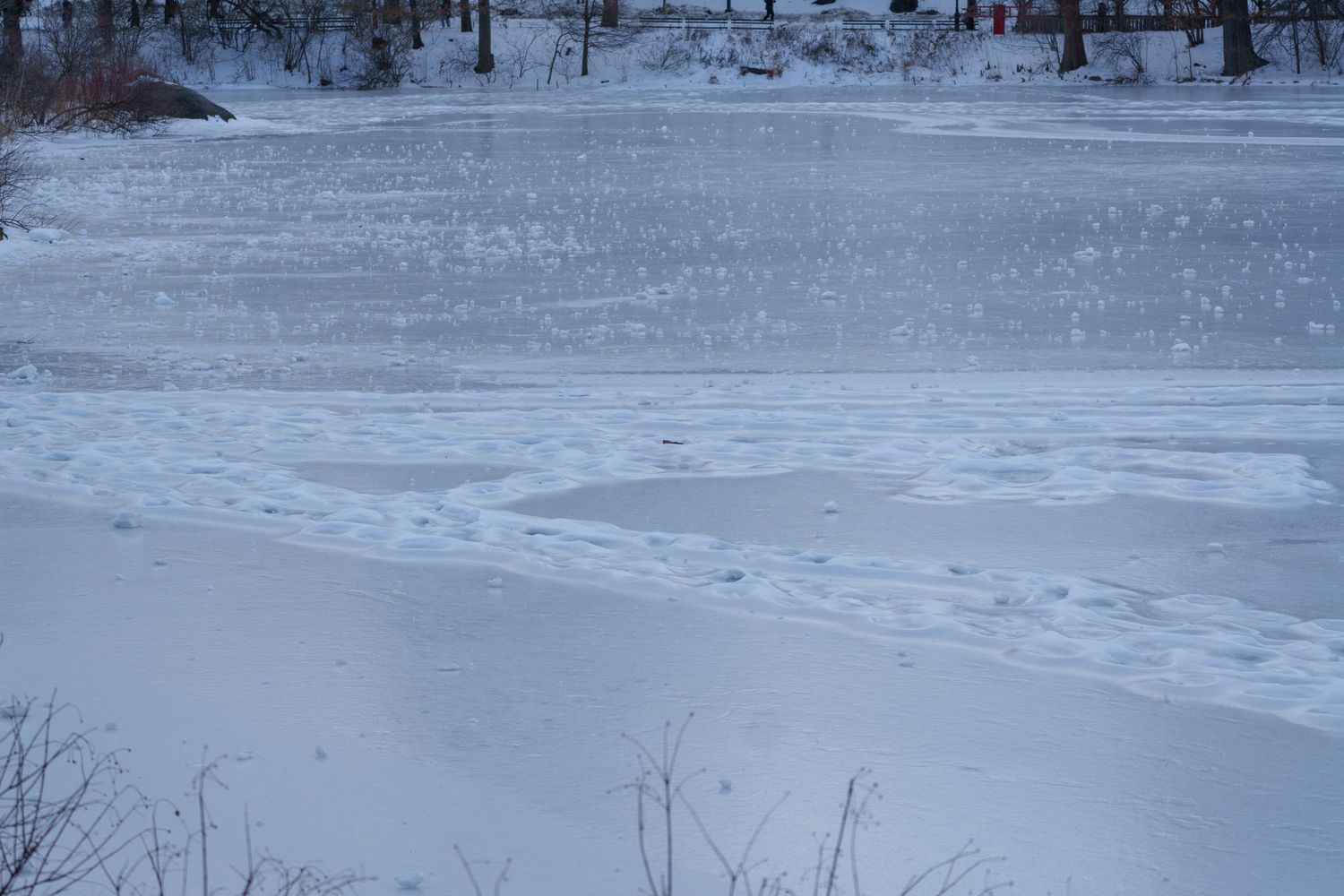 A partially frozen lake with glistening ice surface and snow-covered shoreline on a cold winter day.