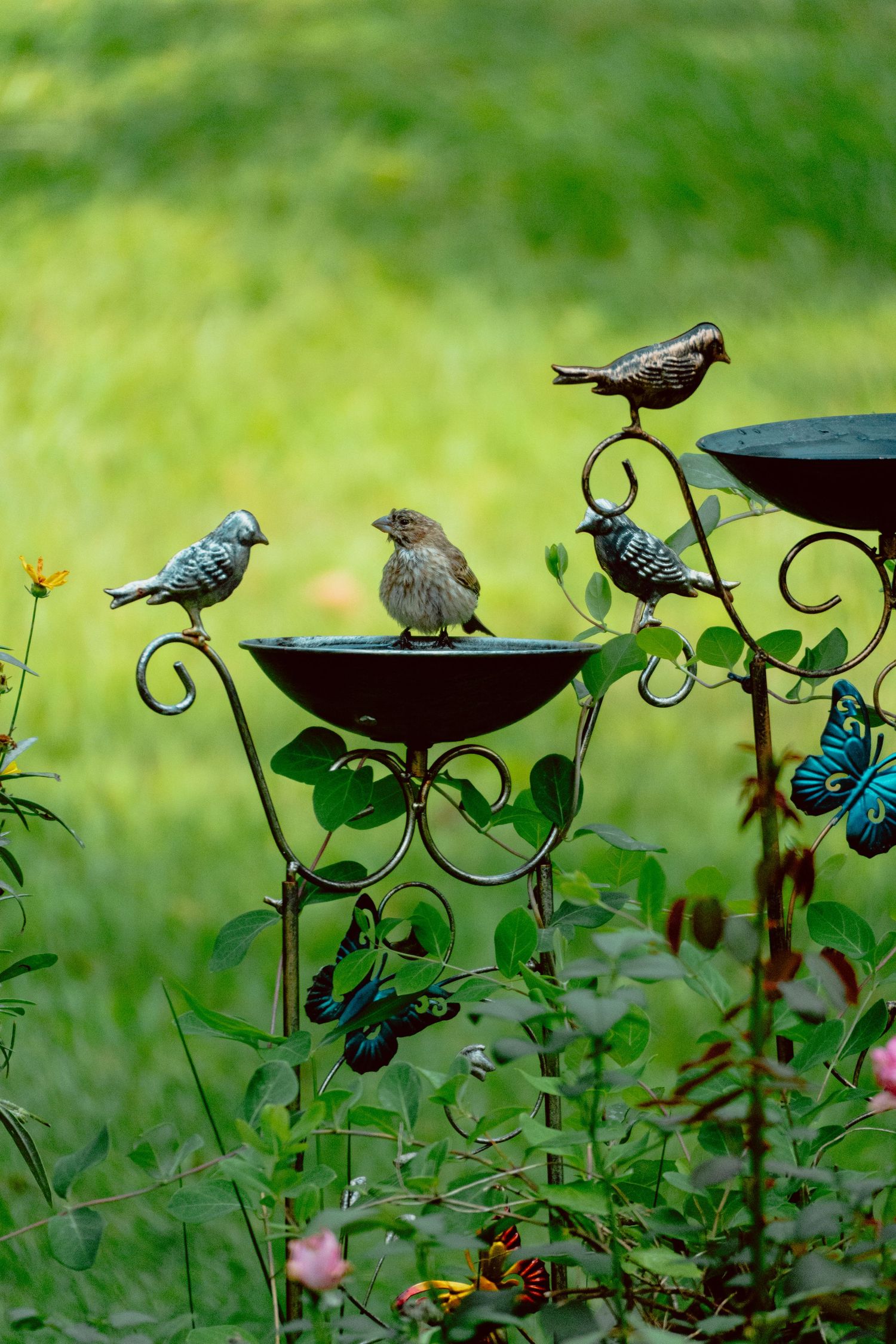 A live fledgling bird perches in a decorative garden bird bath surrounded by metal bird sculptures and butterfly ornaments.