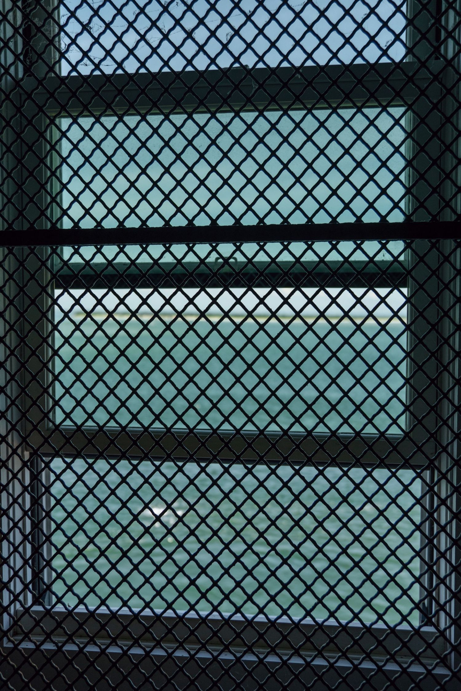 Close-up view of a metal diamond wire mesh fence with teal-tinted panels visible through the grid pattern.