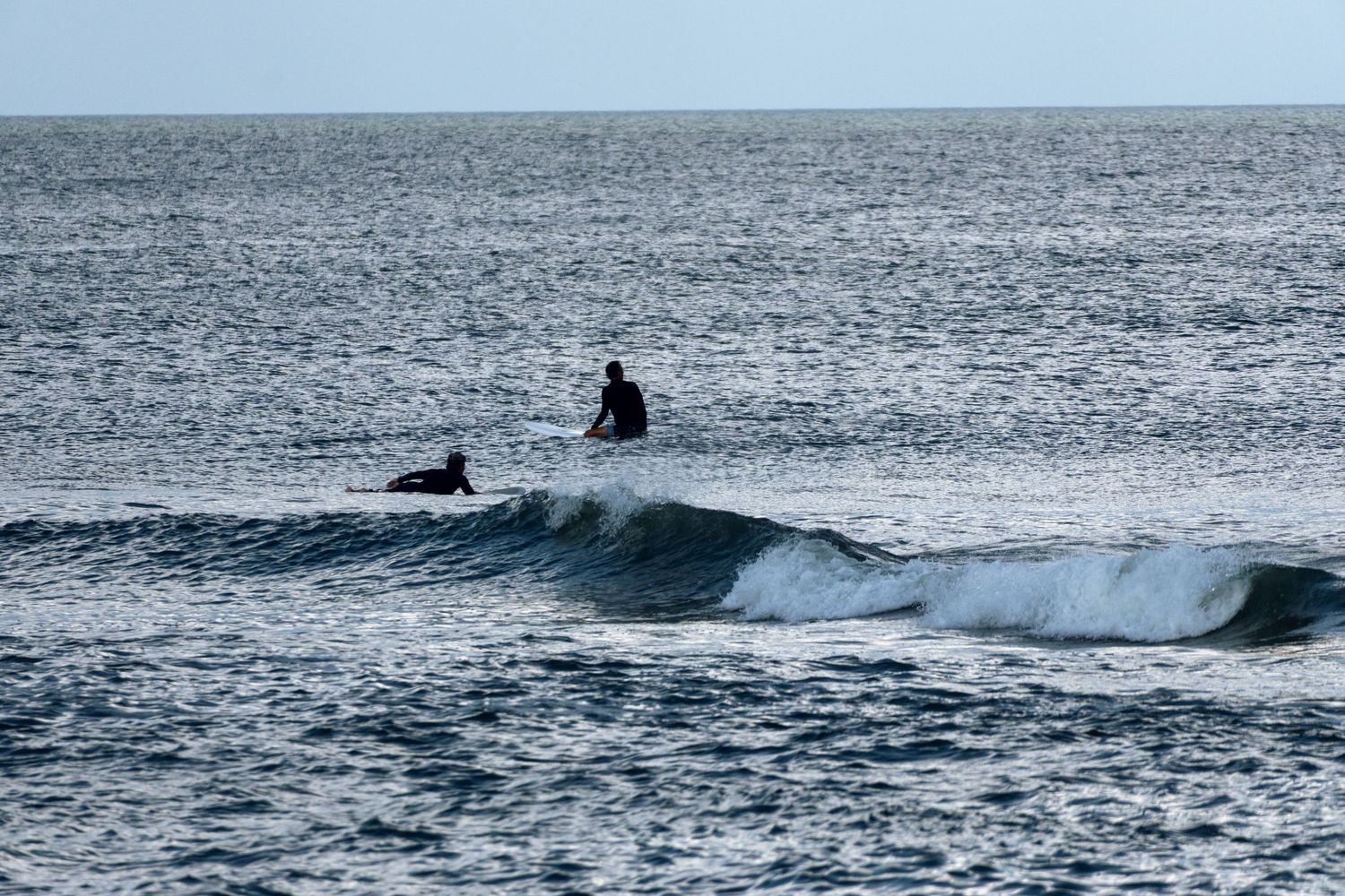 Two surfers riding small ocean waves in dark wetsuits on a calm day.
