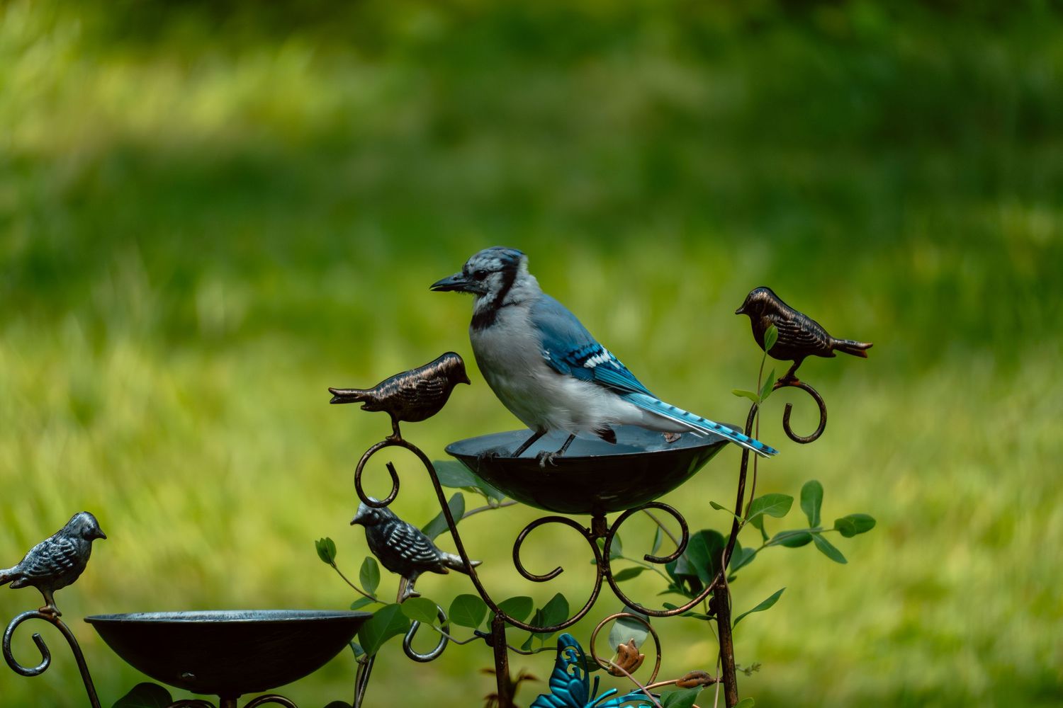 A vibrant blue jay stands on a decorative bird bath surrounded by small bronze bird figurines on a green lawn.
