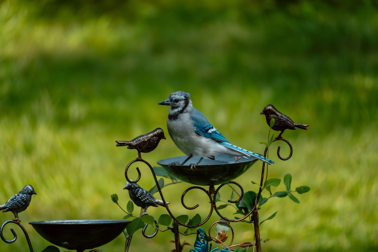 A blue jay dominates a decorative garden bird bath surrounded by small ornamental bird figurines on green grass.