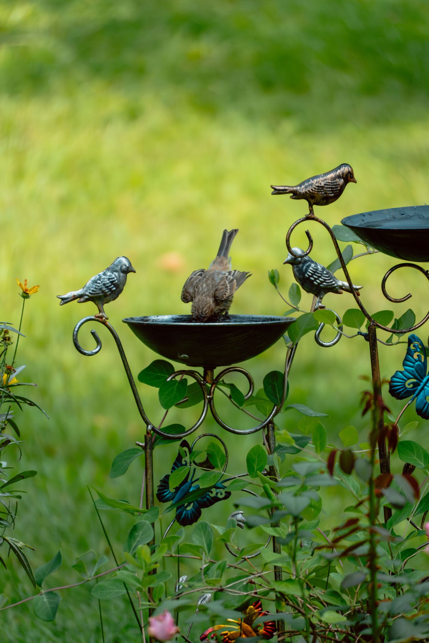 A real bird perches in a decorative garden bird bath surrounded by metal bird sculptures and blue butterfly ornaments.