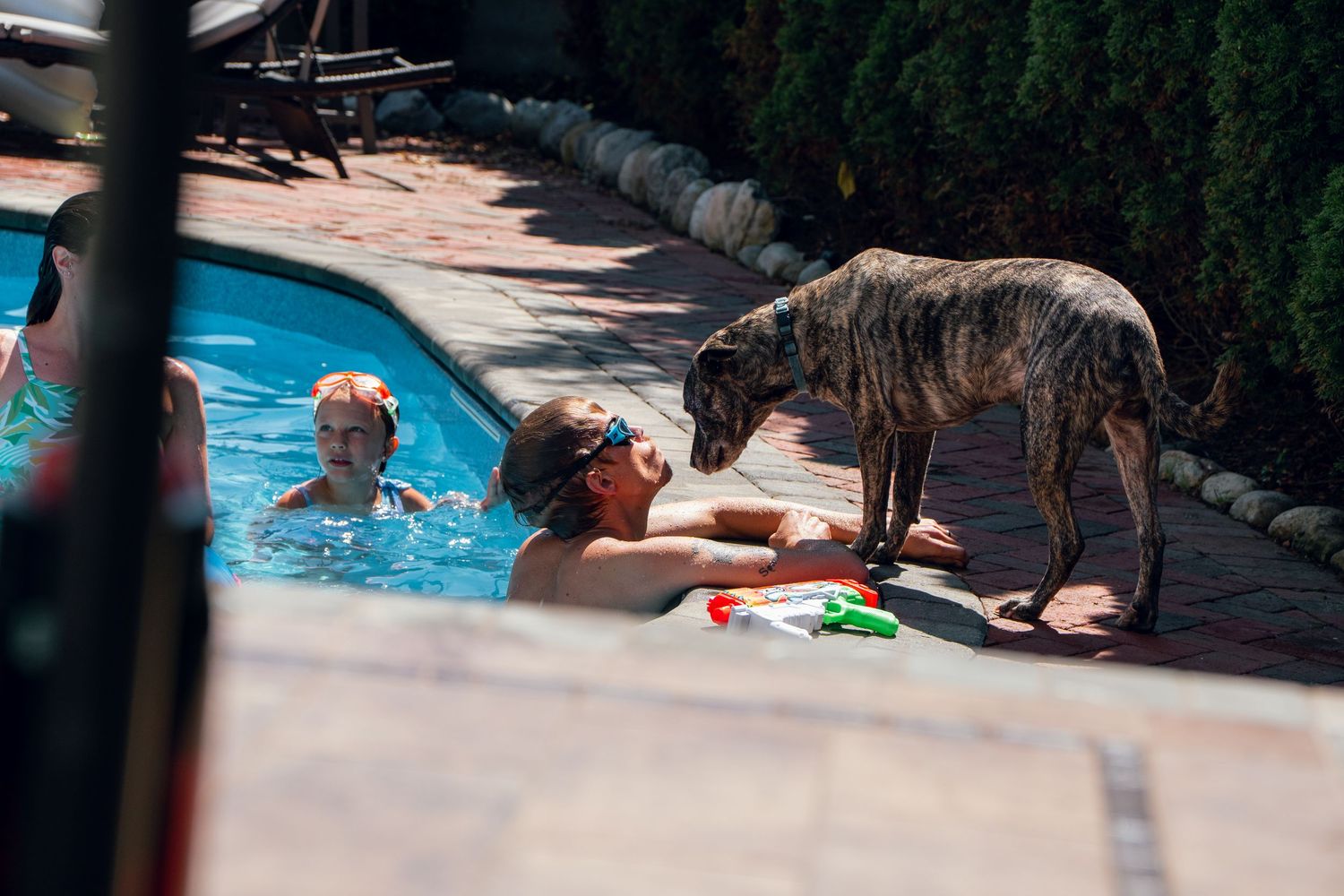 Woman and child in pool interacting with a brindle dog standing on the brick poolside.