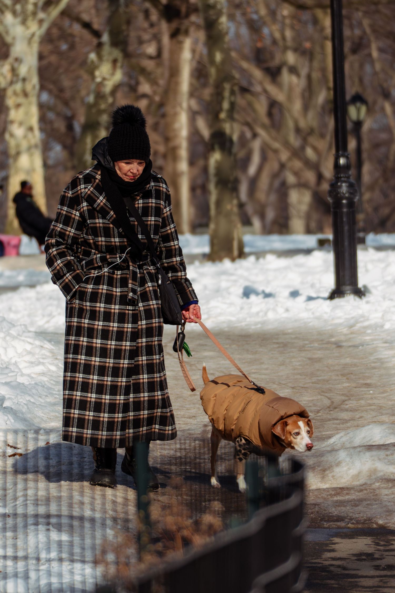 A woman in a plaid coat walks her dog in a winter coat through a snowy Central Park path.