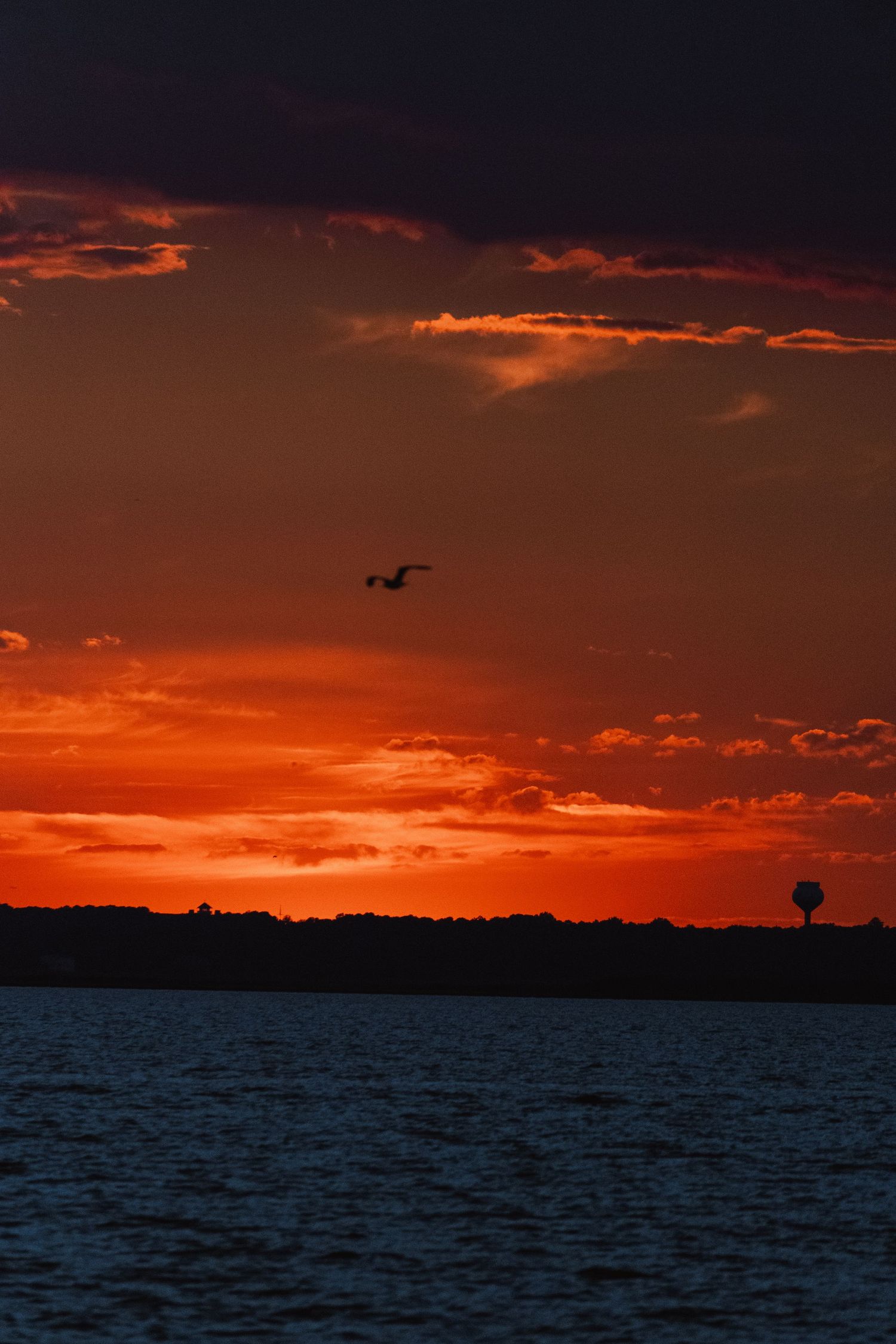 A seagull soars over the water against a dramatic deep red and orange sunset sky with clouds.