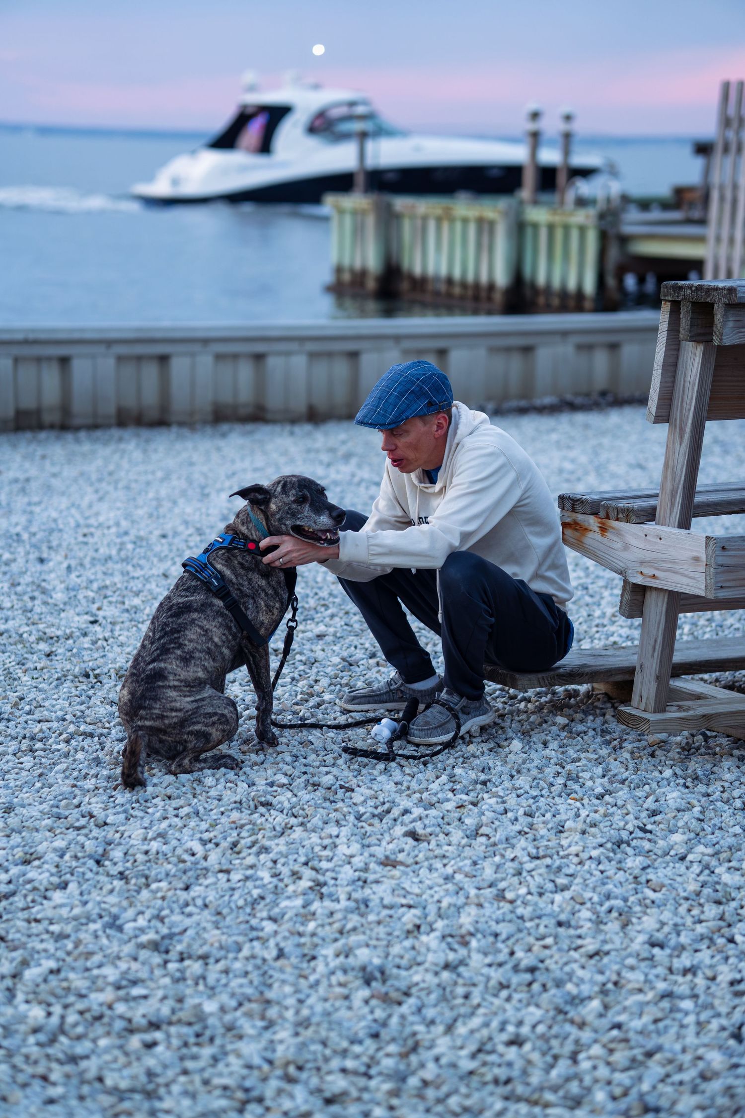 Man in blue cap crouches to pet brindle dog on rocky waterfront at dusk, with boat and pier in background.