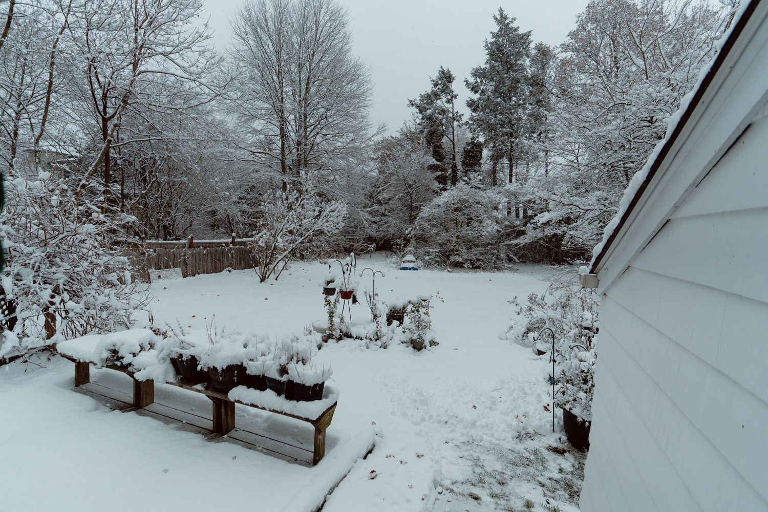 Snow-dusted backyard with wooden raised garden beds and snow-laden trees.