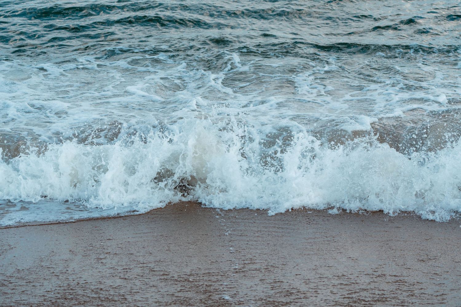 A frothy ocean wave rolling onto a wet sandy beach shoreline.