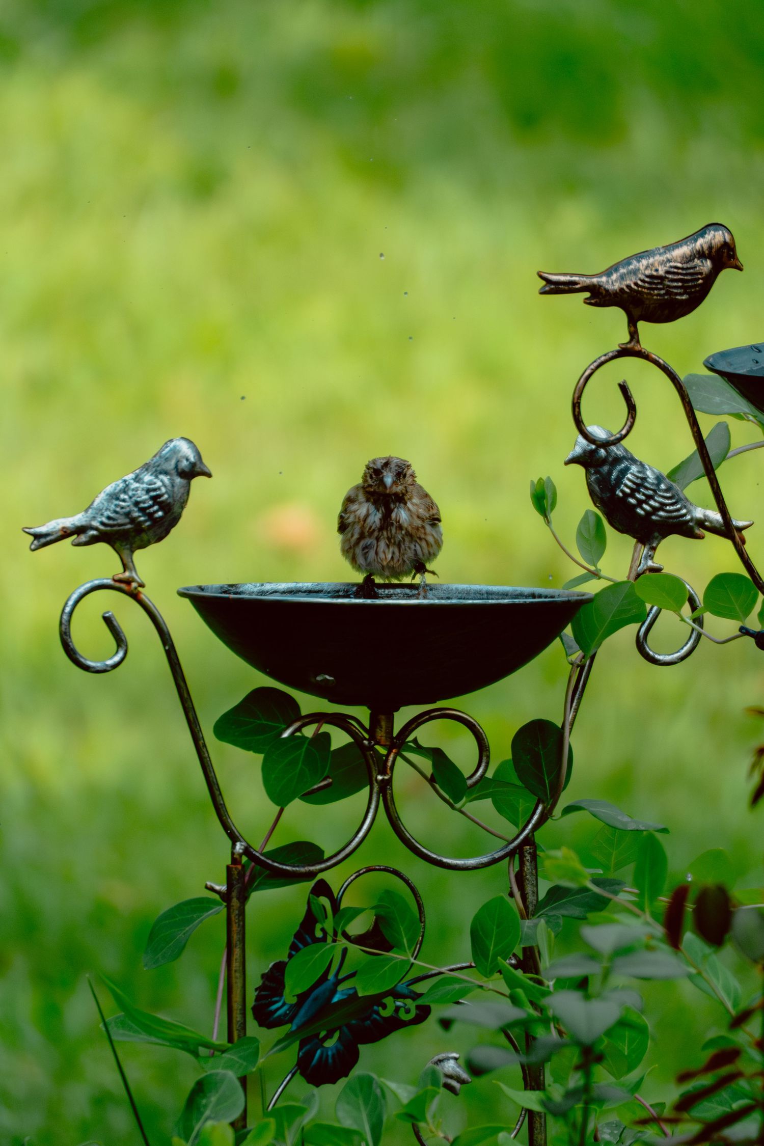 A fluffy fledgling bird sits in a decorative metal bird bath flanked by ornamental bird sculptures in a garden.