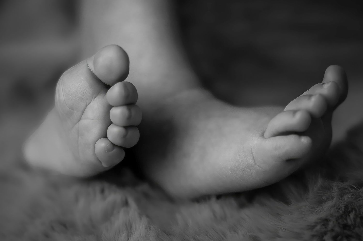 Black and white close-up of newborn baby's tiny feet – newborn photography Hillcrest, Auckland North Shore