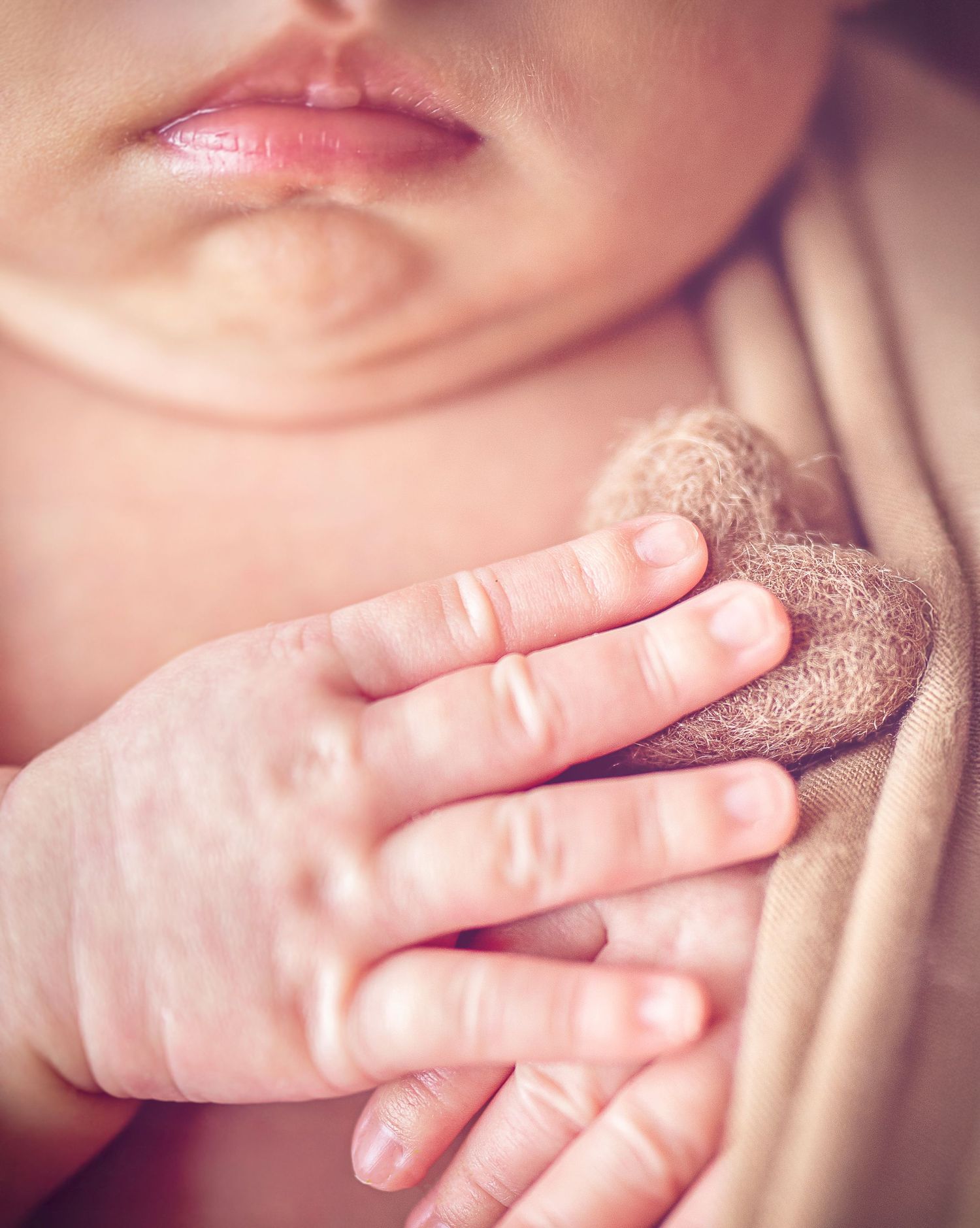 In studio Hillcrest North Shore, Close-up photograph of a newborn baby's tiny hand and fingers – Auckland North Shore newborn photography