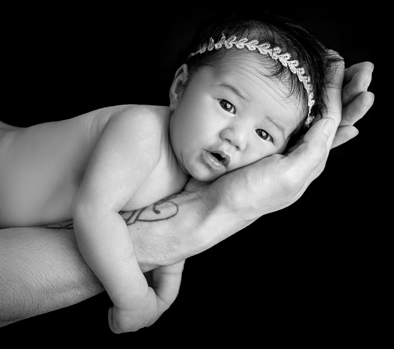 Black and white newborn portrait of baby resting safely in adult hands – newborn photography Hillcrest, Auckland North Shore