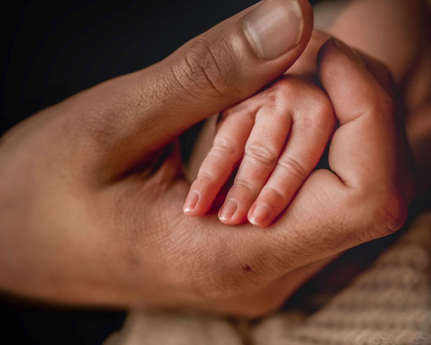 In studio Hillcrest North Shore, Close-up of newborn baby resting peacefully – Auckland newborn photographer