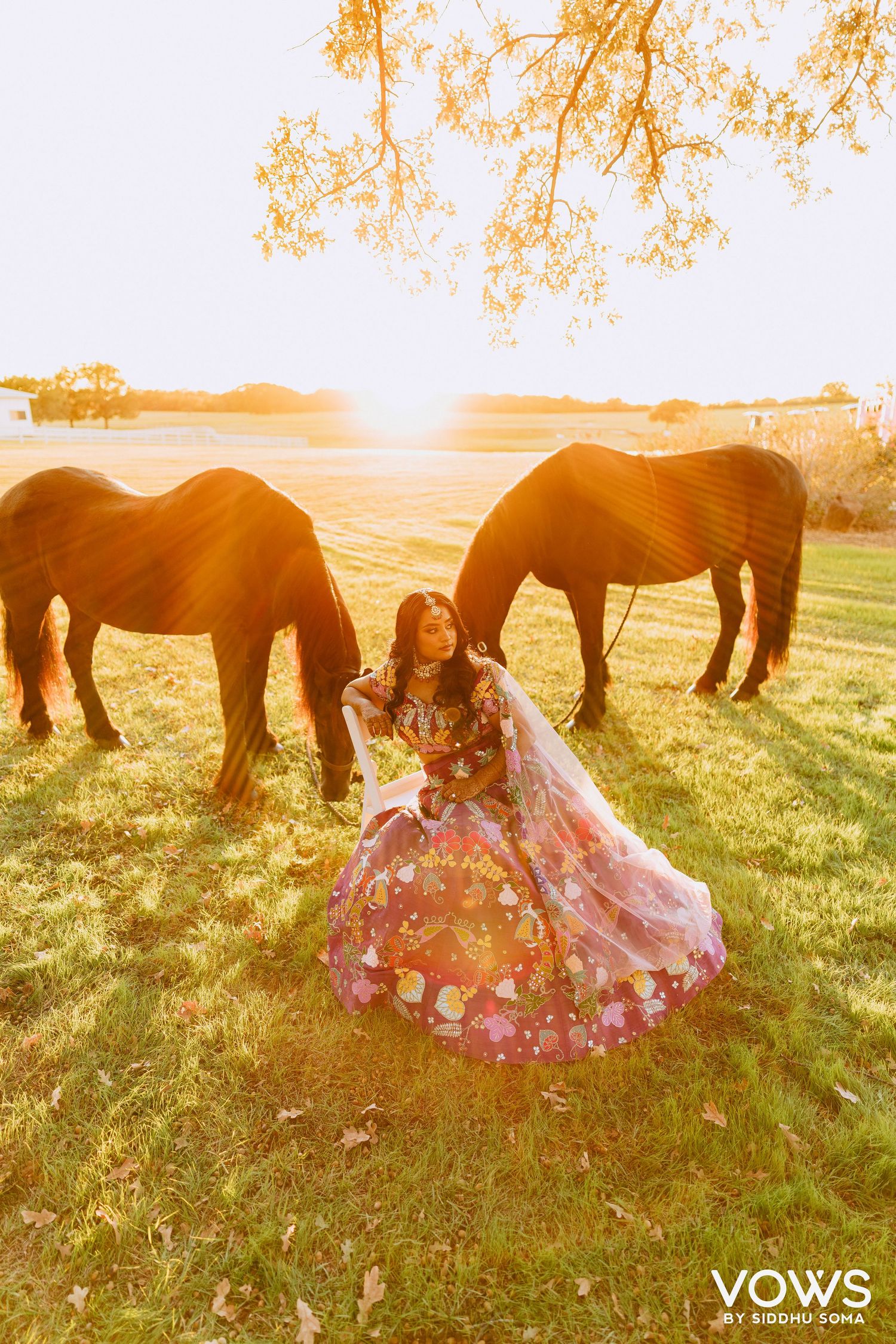 Woman in floral lehenga poses gracefully with two horses in golden sunset light on a lush green field.