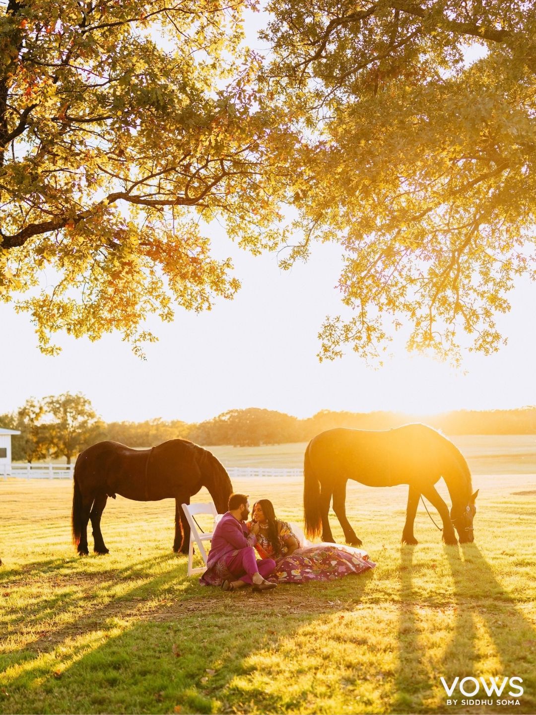 Two women in pink dresses sit between grazing horses under golden trees at sunset on a lush green farm.