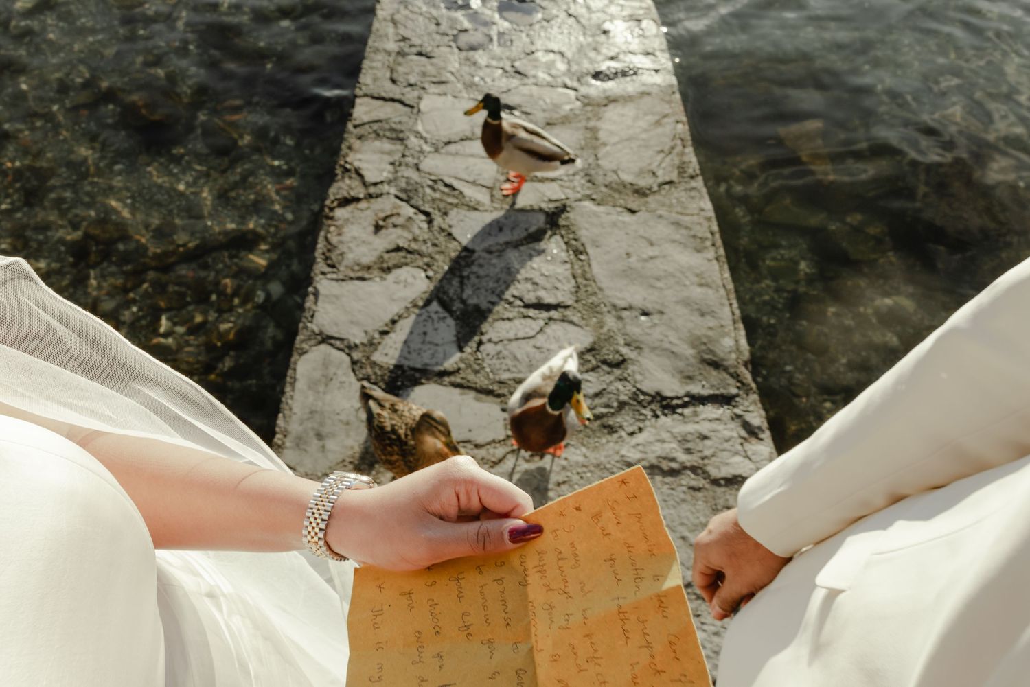 A bride and groom read a letter on a stone pier with ducks below near clear water.