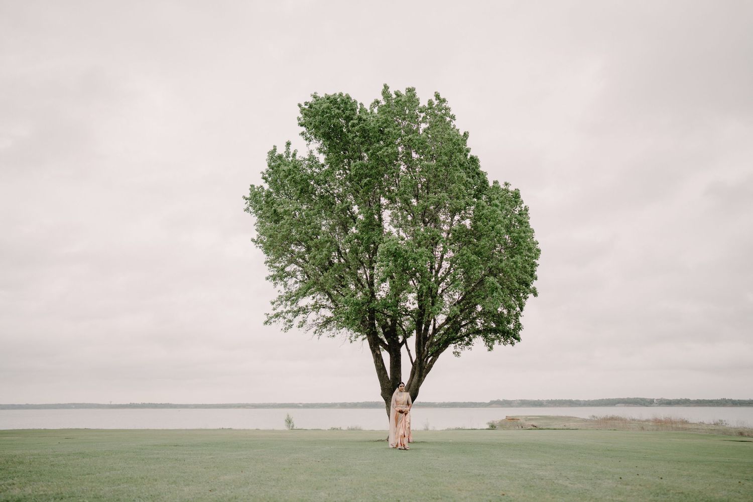 Person standing beneath a large green tree in an open grassy field near water under an overcast sky.