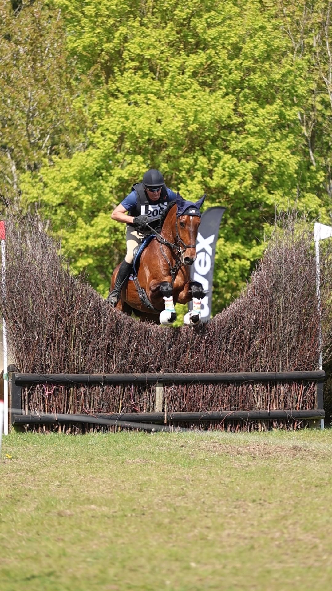 Horse and rider jumping over hedge fence obstacle at outdoor cross-country equestrian event.