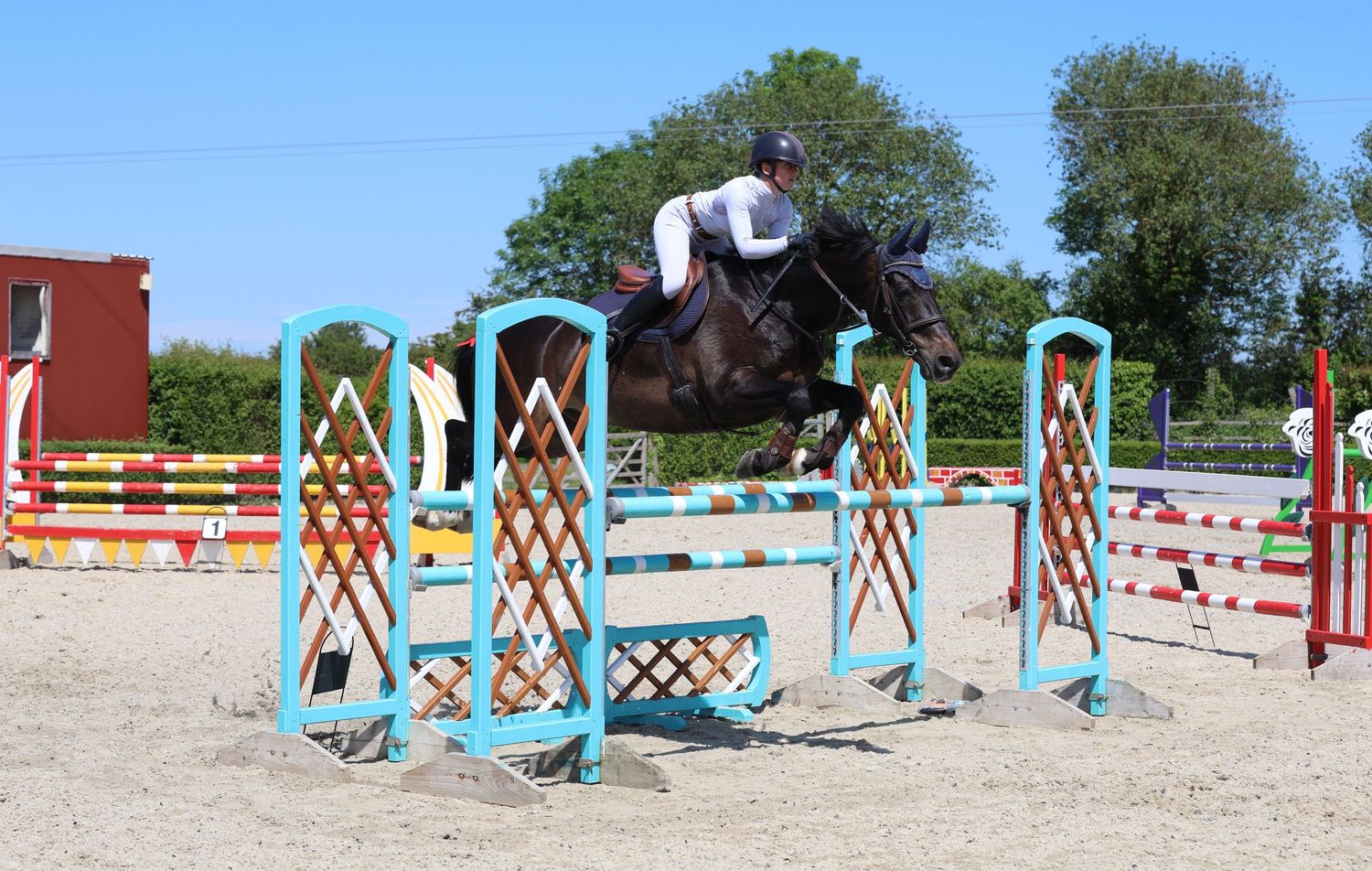 Horse and rider jumping over turquoise and yellow show jumping poles in an outdoor competition.