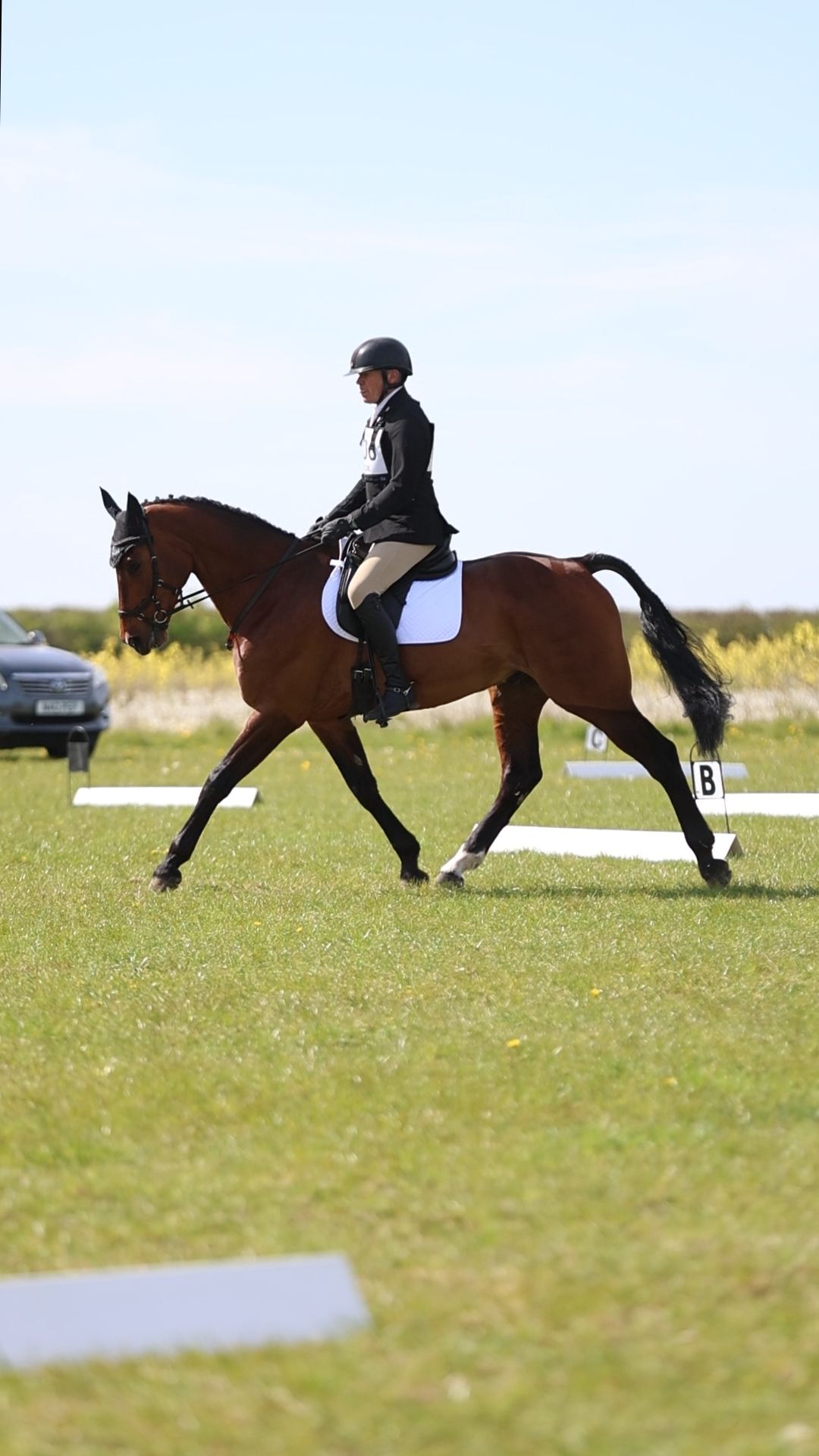 Equestrian rider in black jacket performing dressage on bay horse across green grass arena.