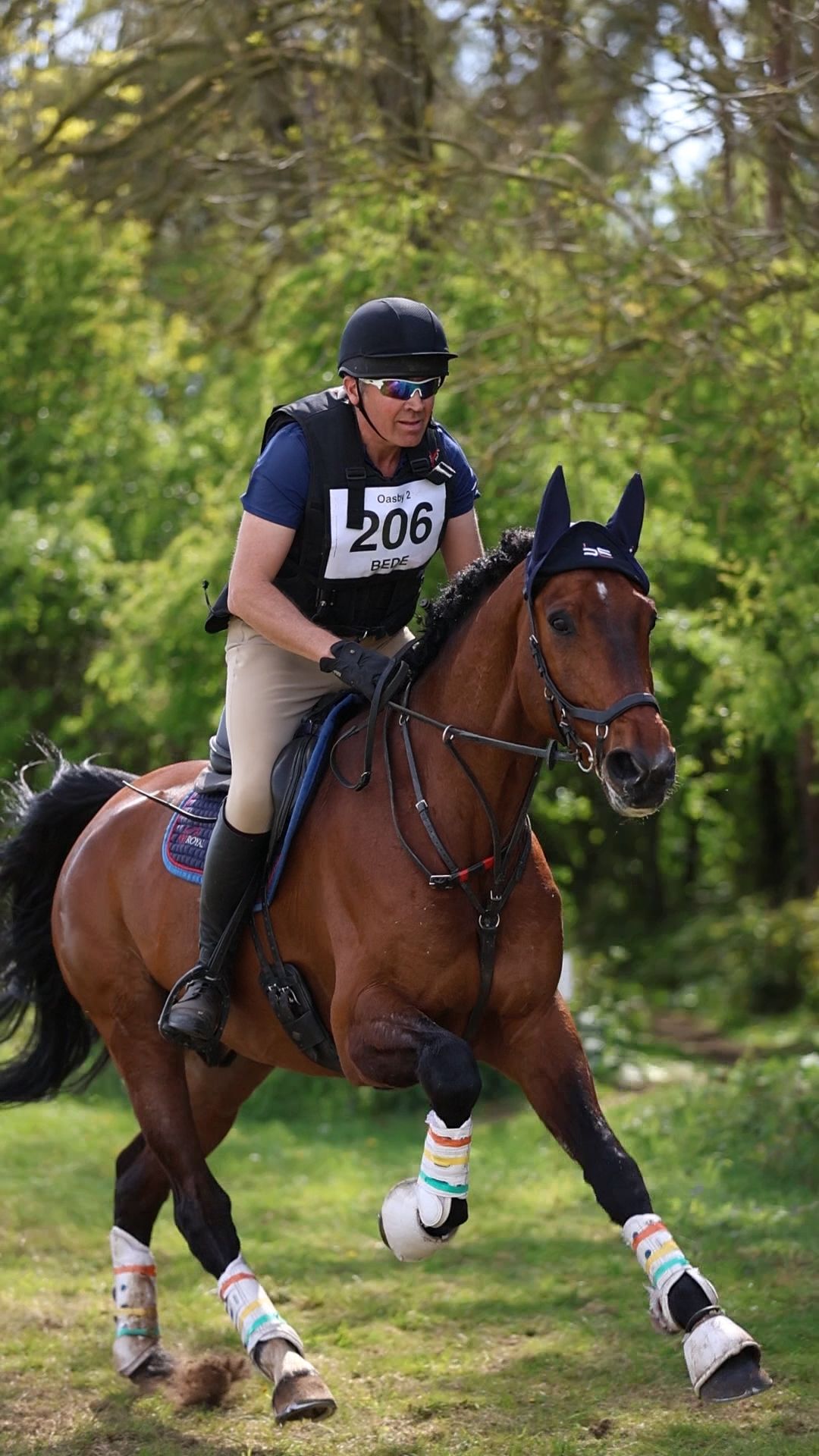 Rider wearing number 206 cantering bay horse with colorful leg wraps through cross-country course.