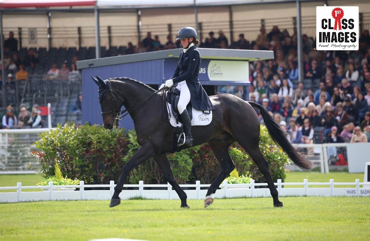 Rider in black attire performs dressage on a black horse in an outdoor arena with green hedges.