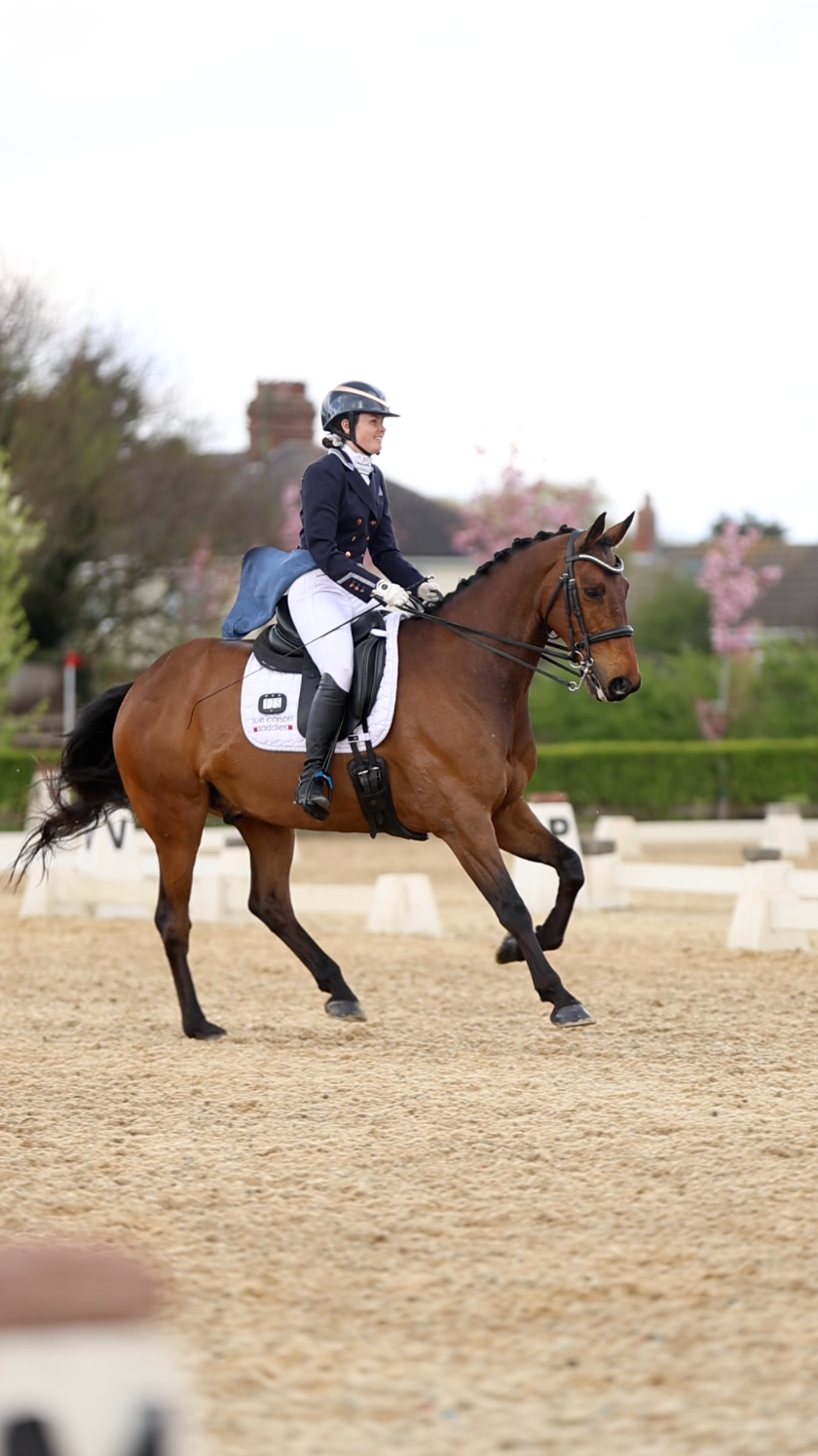 Rider in navy jacket on bay horse performing dressage in sandy arena with spring blossoms.