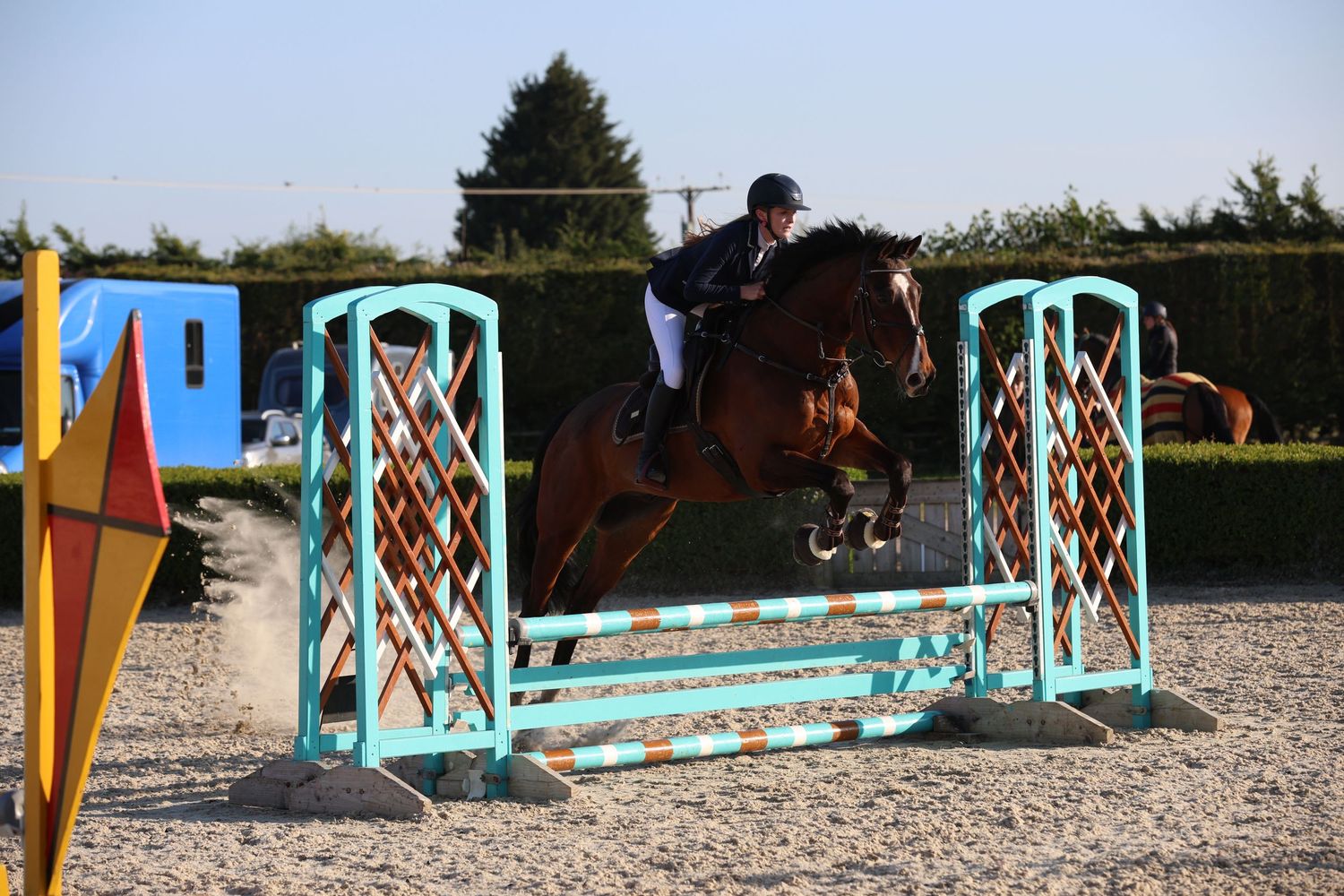 Bay horse and rider jumping teal show jumps in an outdoor equestrian arena.