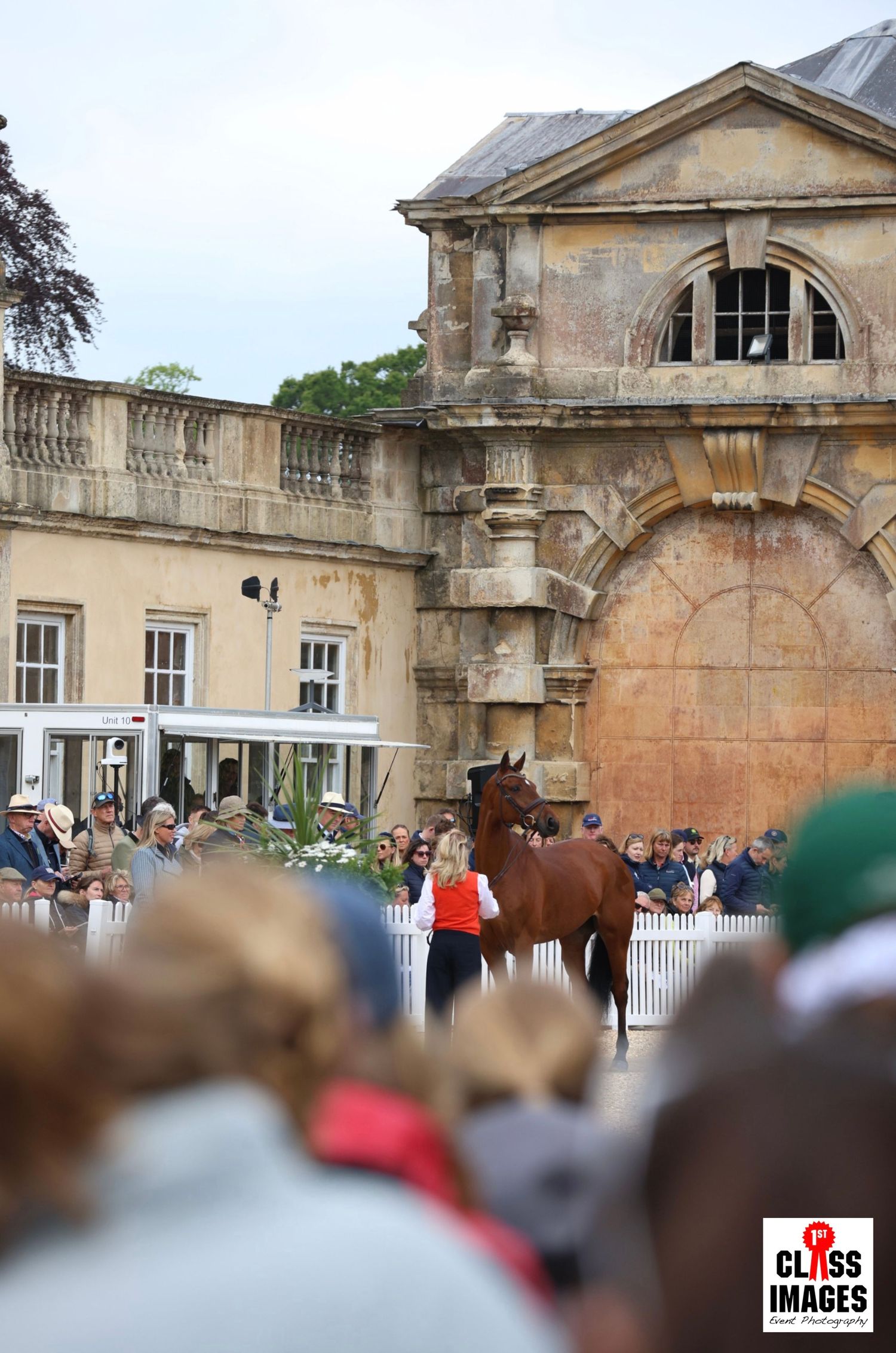 A chestnut horse is presented before a grand historic stone building at an equestrian inspection.