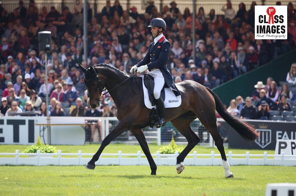 Equestrian competitor rides a dark horse in dressage competition before a packed grandstand crowd.