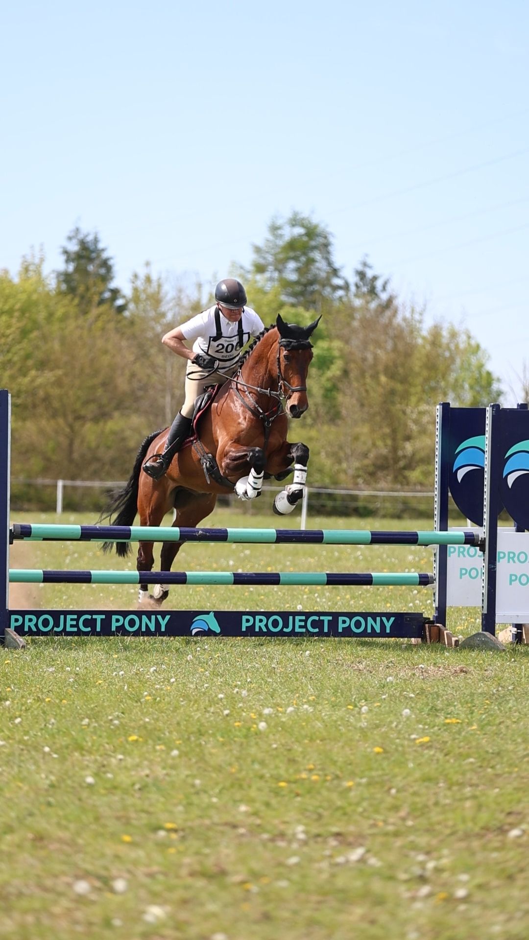 Bay horse and rider number 206 jumping Project Pony sponsored fence at outdoor equestrian event.