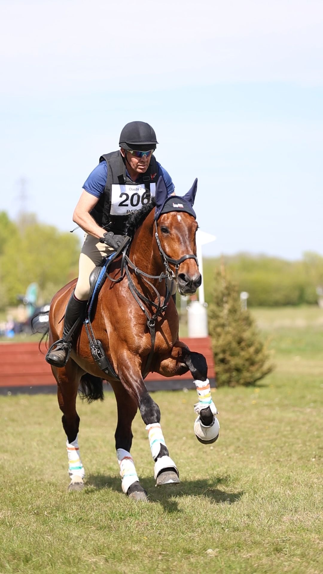 Equestrian rider number 206 galloping bay horse with white leg wraps at outdoor eventing competition.