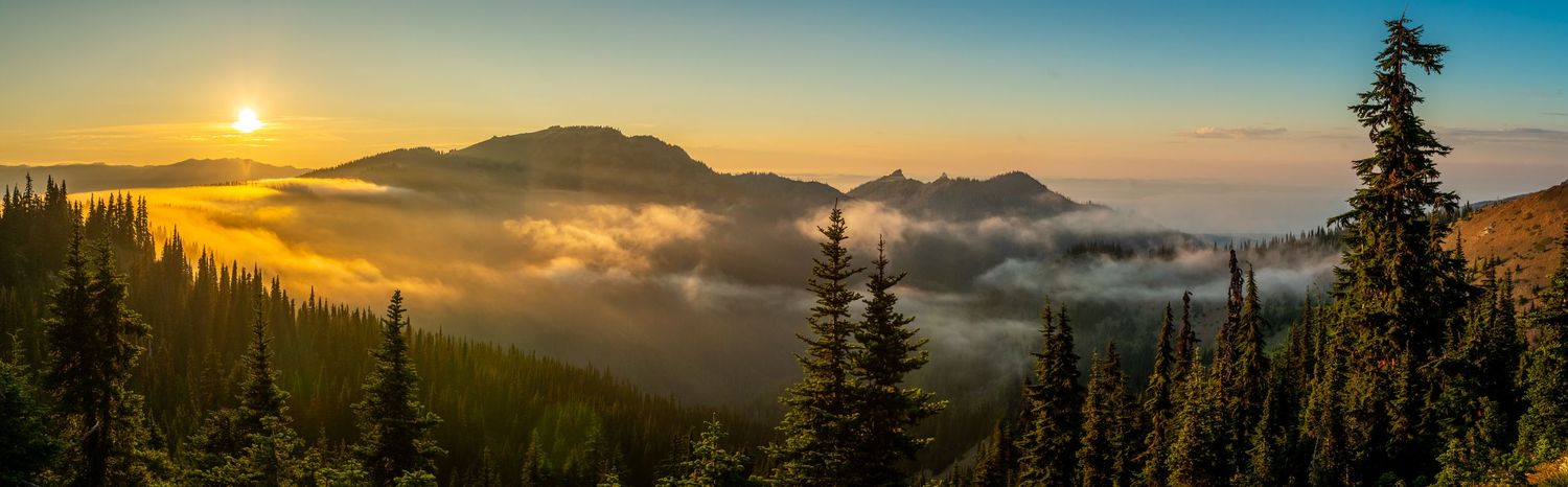 Olympic National Park - Hurricane Ridge
Fine Art Photography Print Sold by Sean Magner