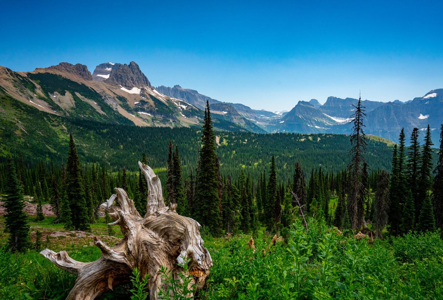 Glacier National Park - Granite Park Chalet
Fine Art Photography Print Sold by Sean Magner