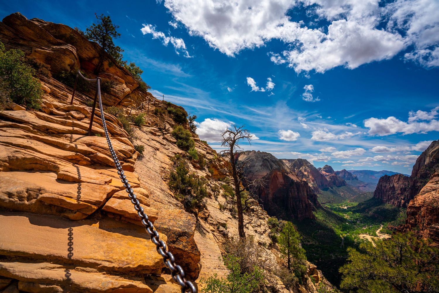 Zion National Park - Angels Landing
Fine Art Photography Print Sold by Sean Magner