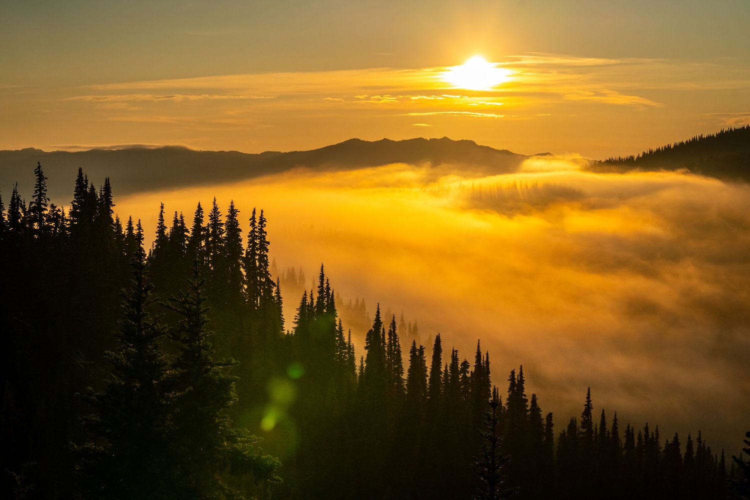 Olympic National Park - Hurricane Ridge
Fine Art Photography Print Sold by Sean Magner