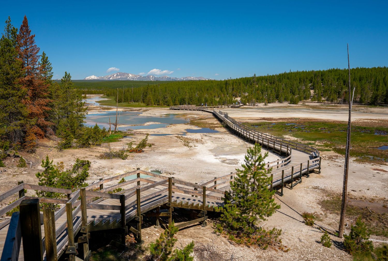 Yellowstone National Park - Norris Geyser Basin
Fine Art Photography Print Sold by Sean Magner