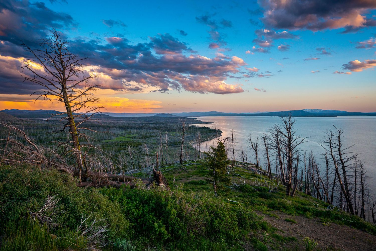 Yellowstone National Park - Lake Butte Overlook
Fine Art Photography Print Sold by Sean Magner