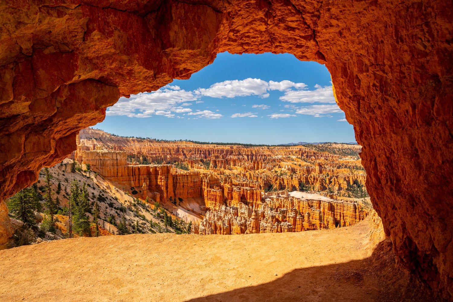 Bryce Canyon National Park - Peekaboo Loop Trail
Fine Art Photography Print Sold by Sean Magner