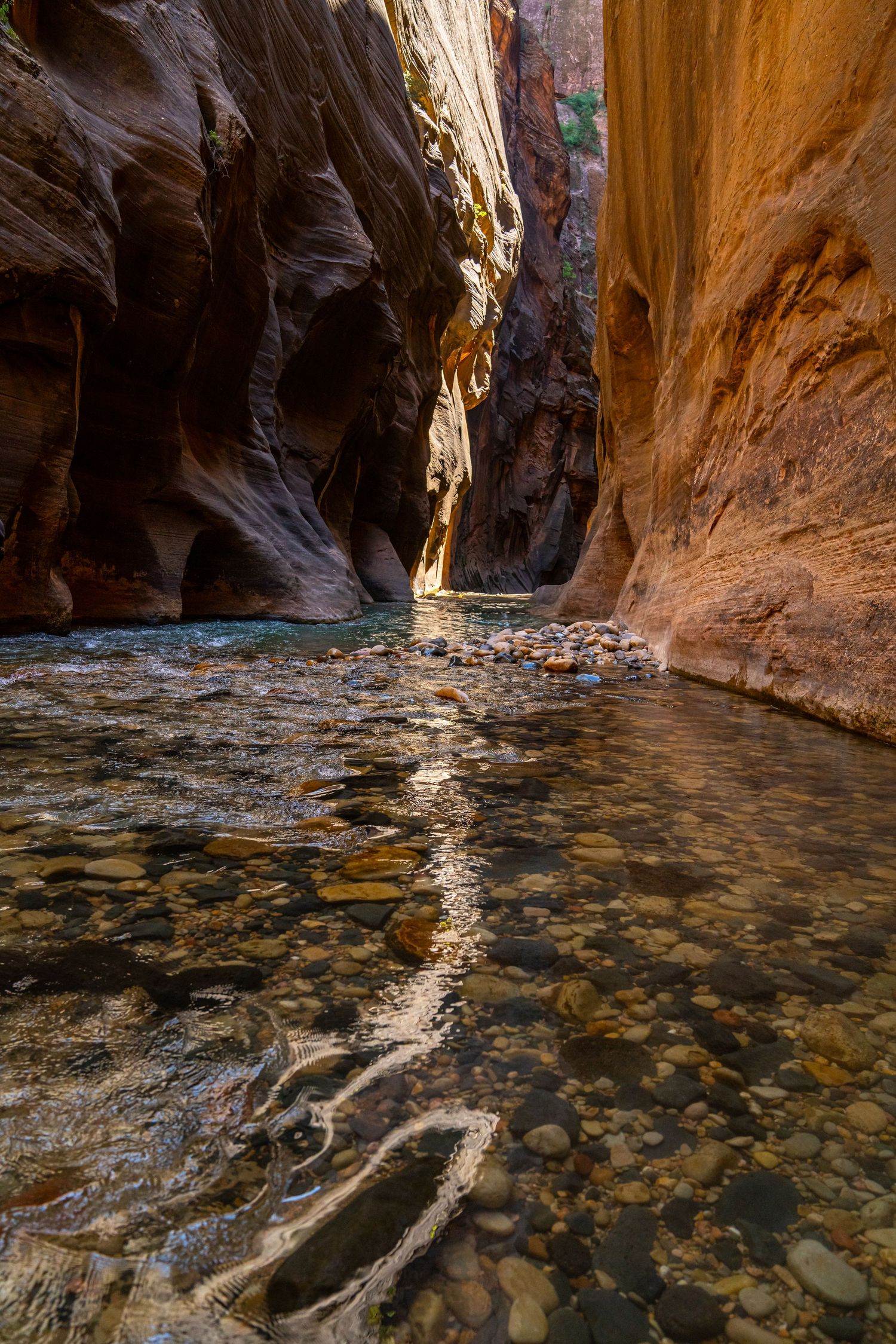 Zion National Park - Wall Street, the Narrows
Fine Art Photography Print Sold by Sean Magner